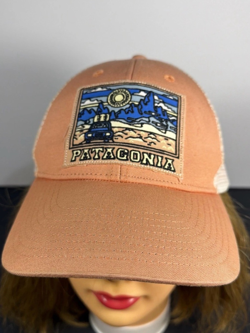 Patagonia Summit Road LoPro Trucker Hat Cap Salmon Pink